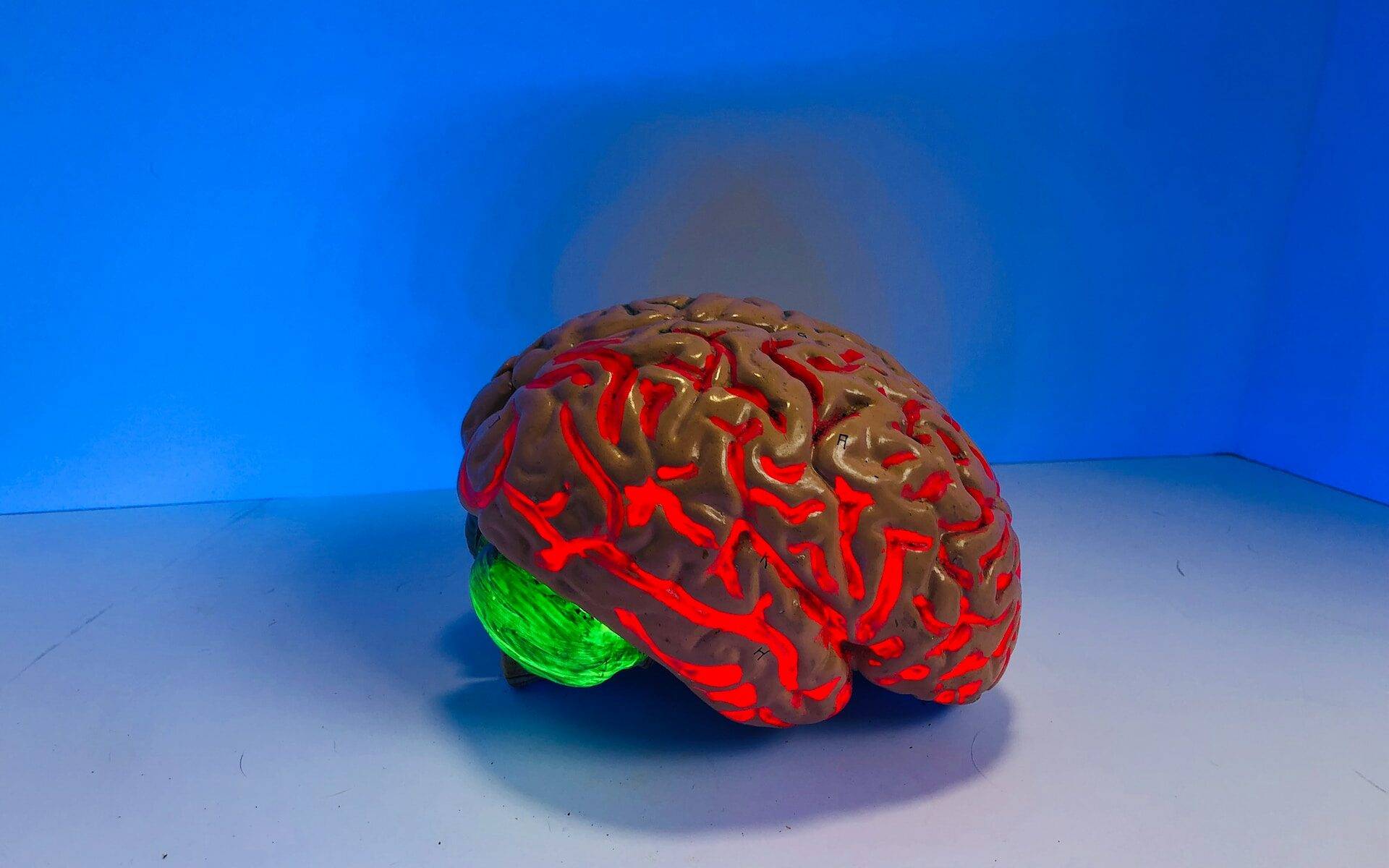 brain injury lawyer