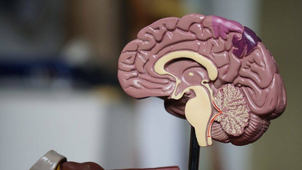 traumatic brain injury lawyer